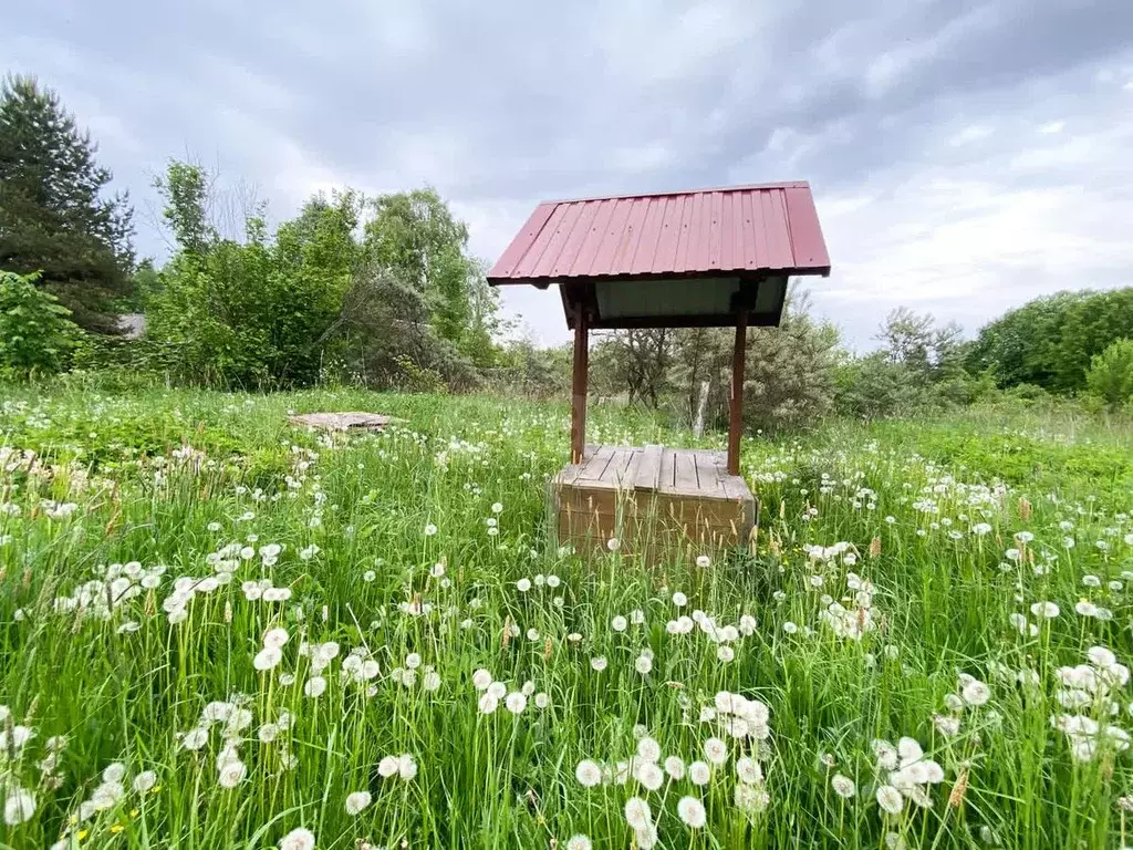 Участок в Ярославская область, Рыбинский муниципальный округ, д. ... - Фото 1