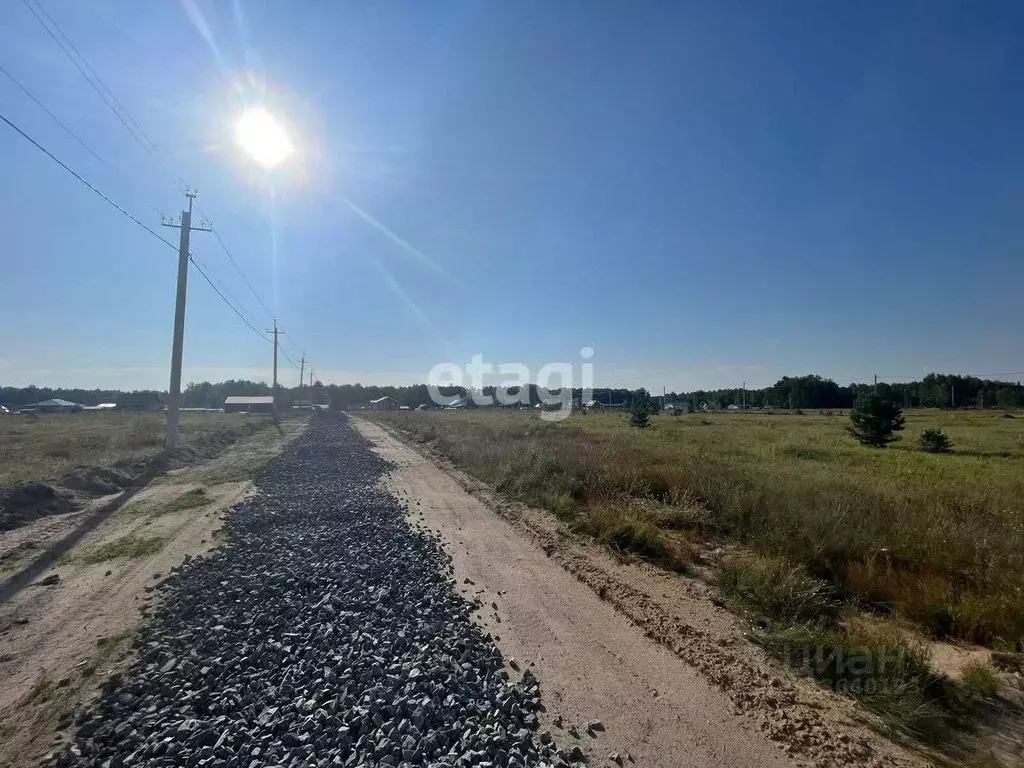 Участок в Новосибирская область, Новосибирский район, Кубовинский ... - Фото 1