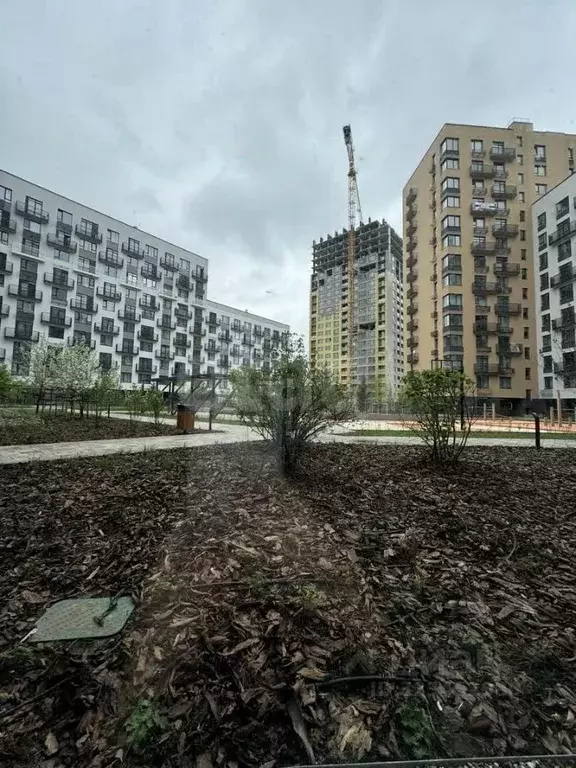 Помещение свободного назначения в Тюменская область, Тюмень ул. ... - Фото 1