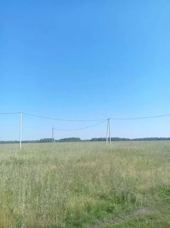 Участок в Омская область, Омский район муниципальный округ, с. ... - Фото 2
