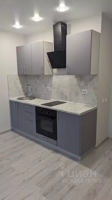 Студия Санкт-Петербург пос. Парголово, Заречная ул., 13к1 (28.7 м) - Фото 2