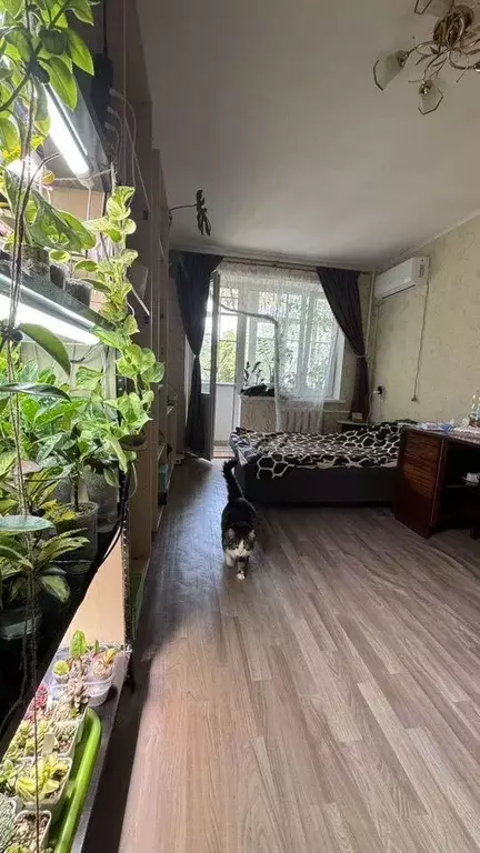 Квартира, 1 комната, 30 м - Фото 1