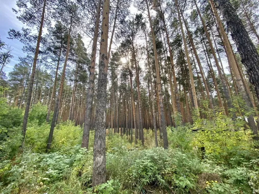 Участок в Томская область, Томск с. Тимирязевское,  (10.4 сот.) - Фото 0