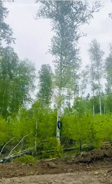 Участок в Иркутский муниципальный округ, деревня Новолисиха, посёлок ... - Фото 0