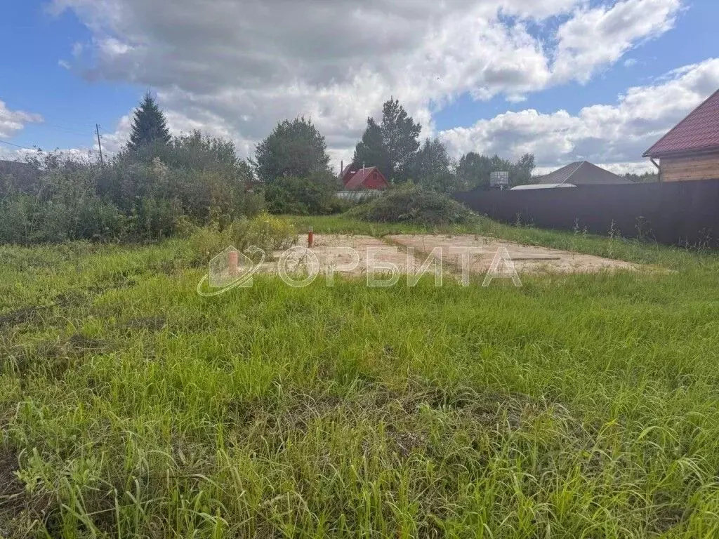 Участок в Тюменская область, Тюмень Садовое товарищество Липовый ... - Фото 1