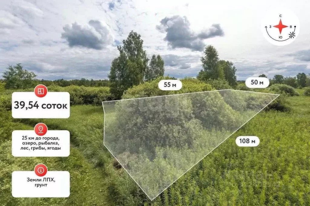 Участок в Тюменская область, Нижнетавдинский муниципальный округ, д. ... - Фото 1