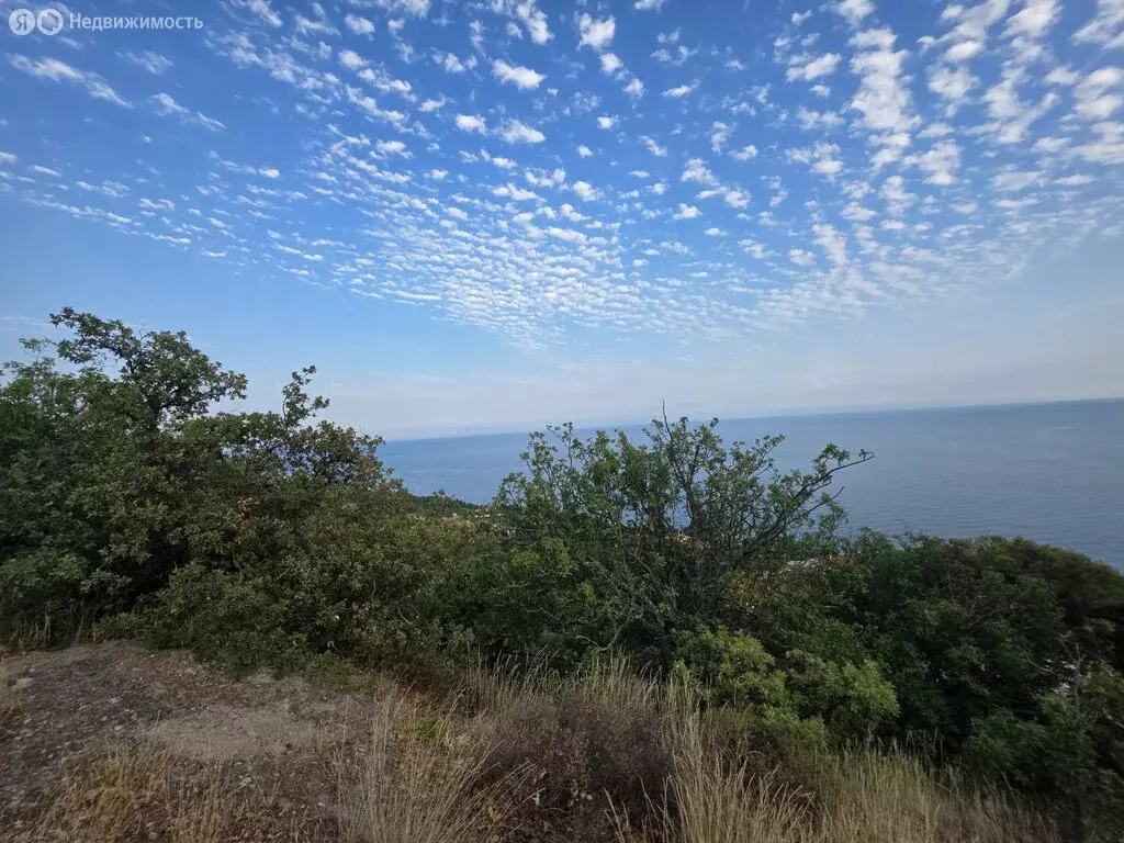 Участок в Республика Крым, Ялта (5 м) - Фото 1