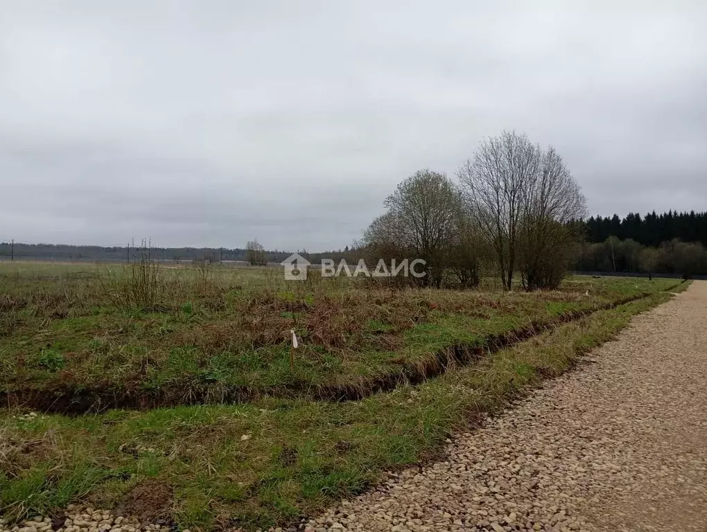 Участок в Ленинградская область, Гатчинский муниципальный округ, д. ... - Фото 2