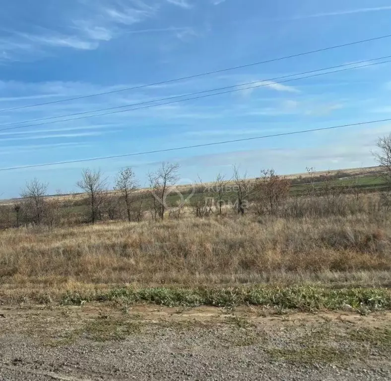 Участок в Волгоградская область, Волгоград ул. Вербная (9.03 сот.) - Фото 1