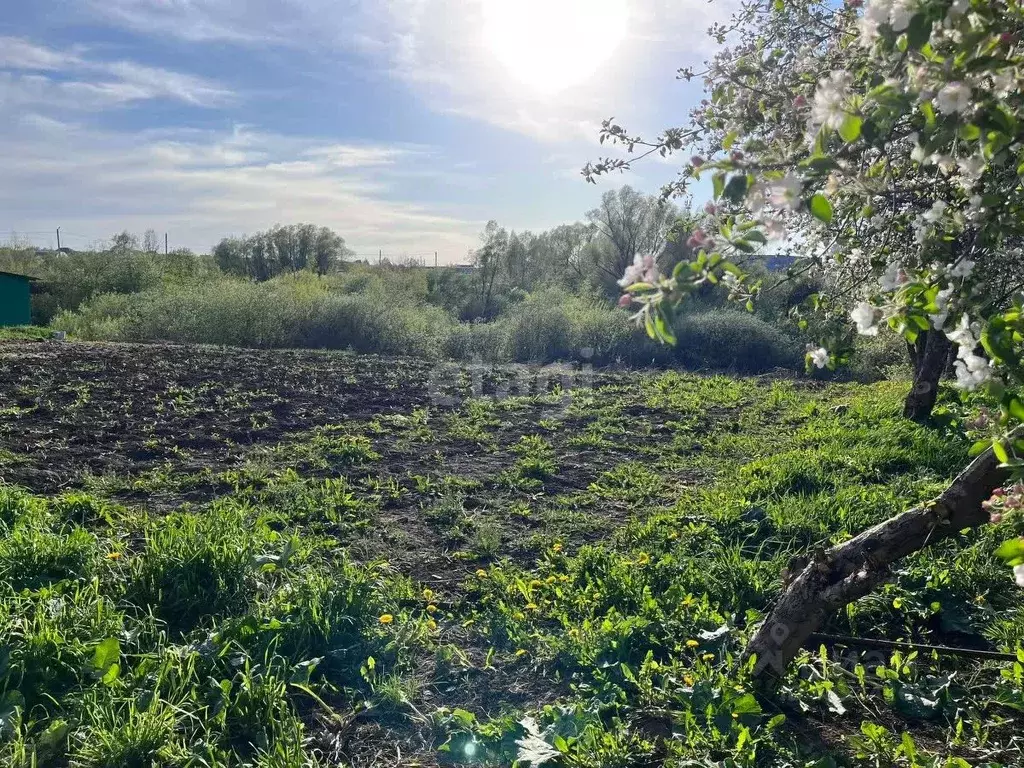 Участок в Башкортостан, Уфа городской округ, с. Нагаево ул. Луговая, ... - Фото 2