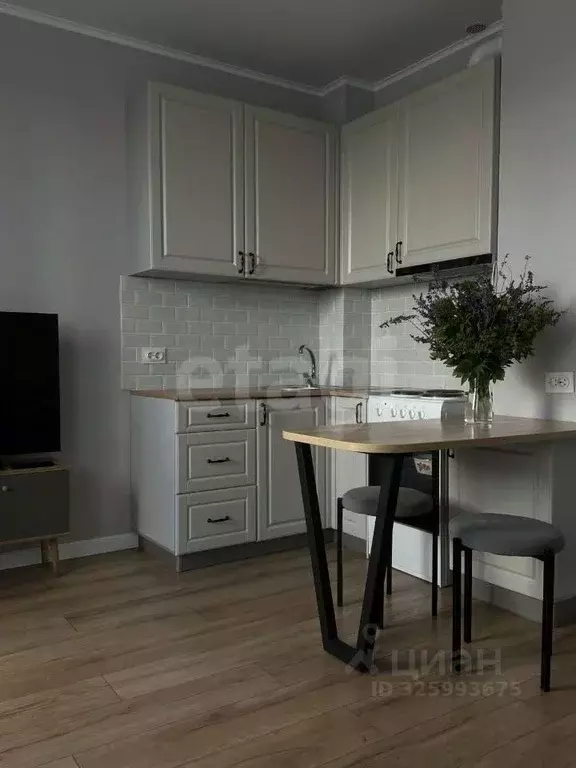 Студия Пермский край, Пермь ул. Агатовая, 36 (22.3 м) - Фото 1