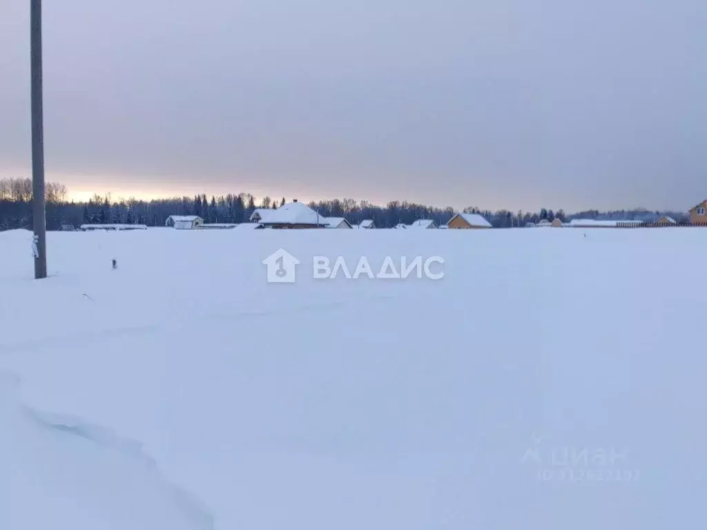 Участок в Коми, Сыктывдинский район, с. Выльгорт ул. Виталия Гилева ... - Фото 1