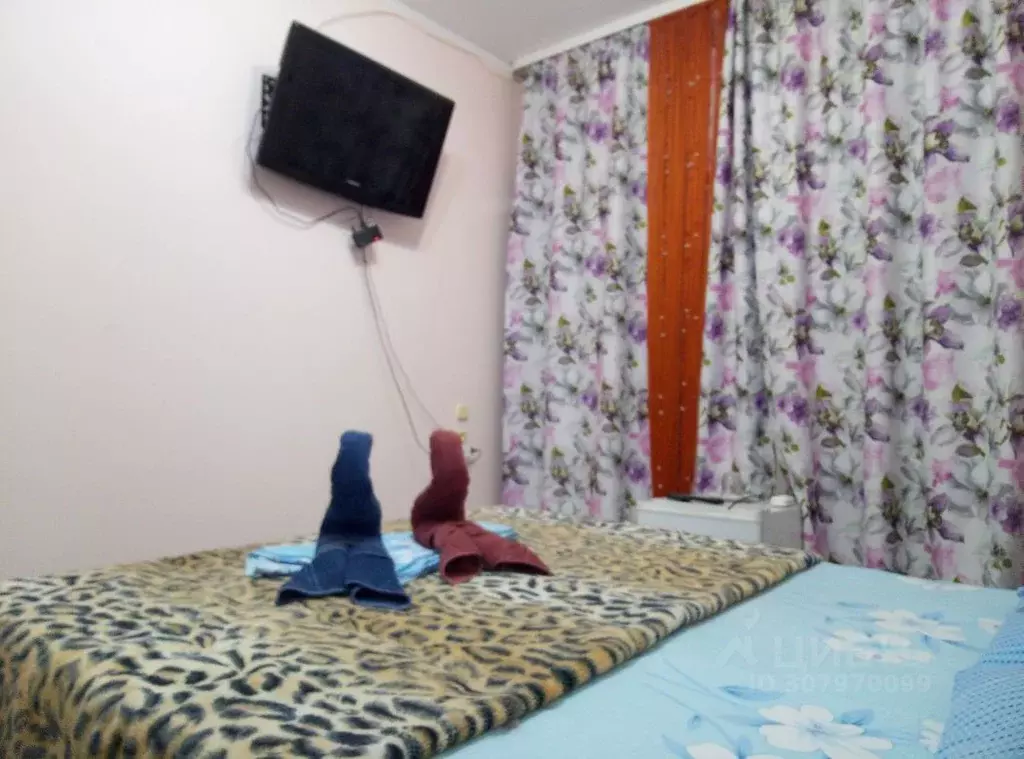 Комната Краснодарский край, Сочи ул. Просвещения, 87М (14.0 м) - Фото 1