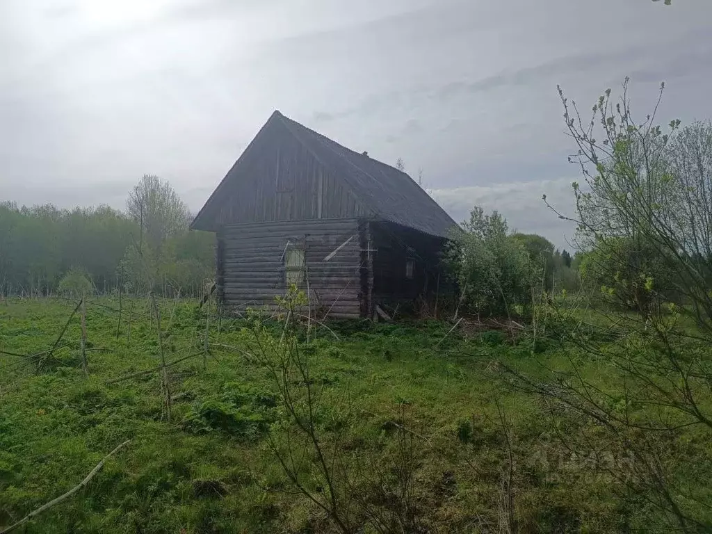 Участок в Новгородская область, Маловишерский район, Бургинское с/пос, ... - Фото 2