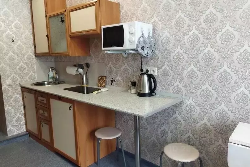 1-к кв. Татарстан, Казань ул. Серп и Молот, 24а (14.0 м) - Фото 1