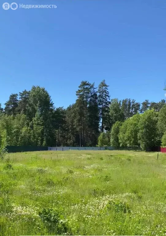 Участок в посёлок Комарово, 1-я Дачная улица, 7 (20.4 м) - Фото 1