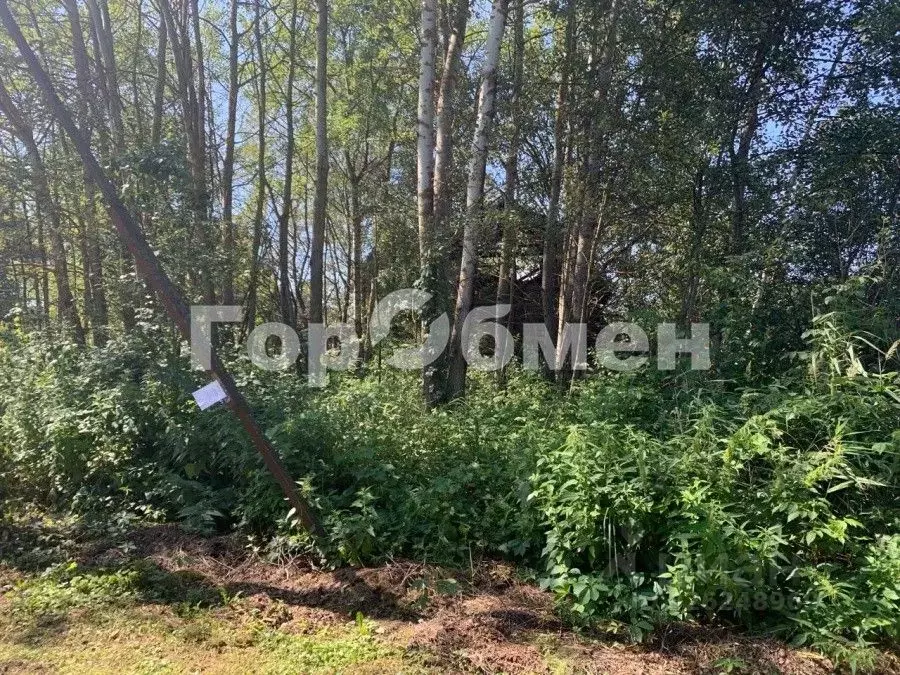 Участок в Московская область, Богородский городской округ, Нерудник ... - Фото 2