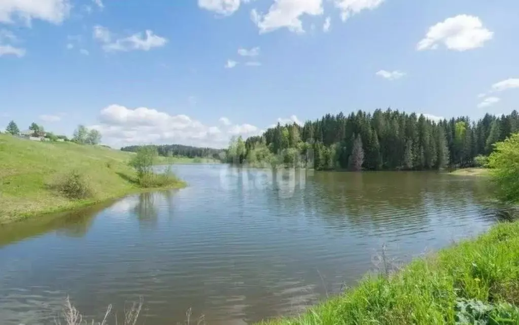 Участок в Пермский край, Пермский муниципальный округ, д. Большакино  ... - Фото 1