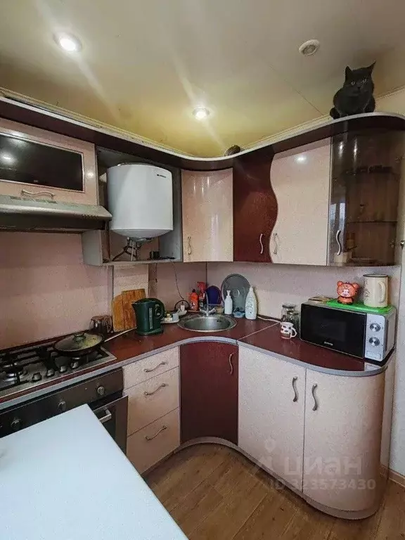 2-к кв. Орловская область, Мценский район, с. Тельчье Комсомольская ... - Фото 1