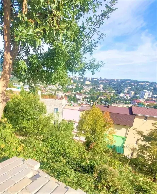 Участок в Крым, Ялта ул. Мичурина, 29 (8.0 сот.) - Фото 1