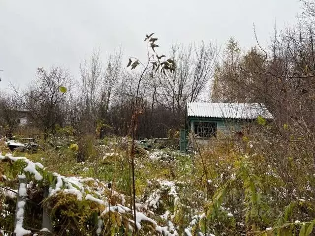 Участок в Алтайский край, Бийск Им. Мичурина СНТ, ул. Яровая (6.0 ... - Фото 1