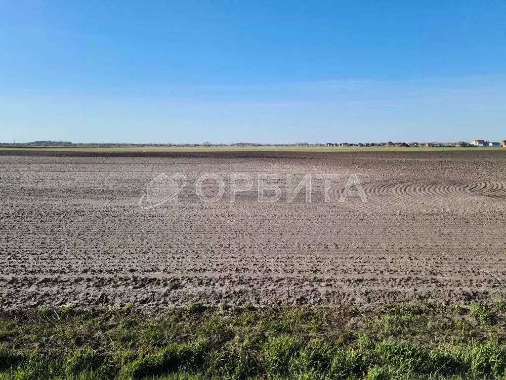 Участок в Тюменская область, Тюменский район, с. Чикча  (202.31 сот.) - Фото 0