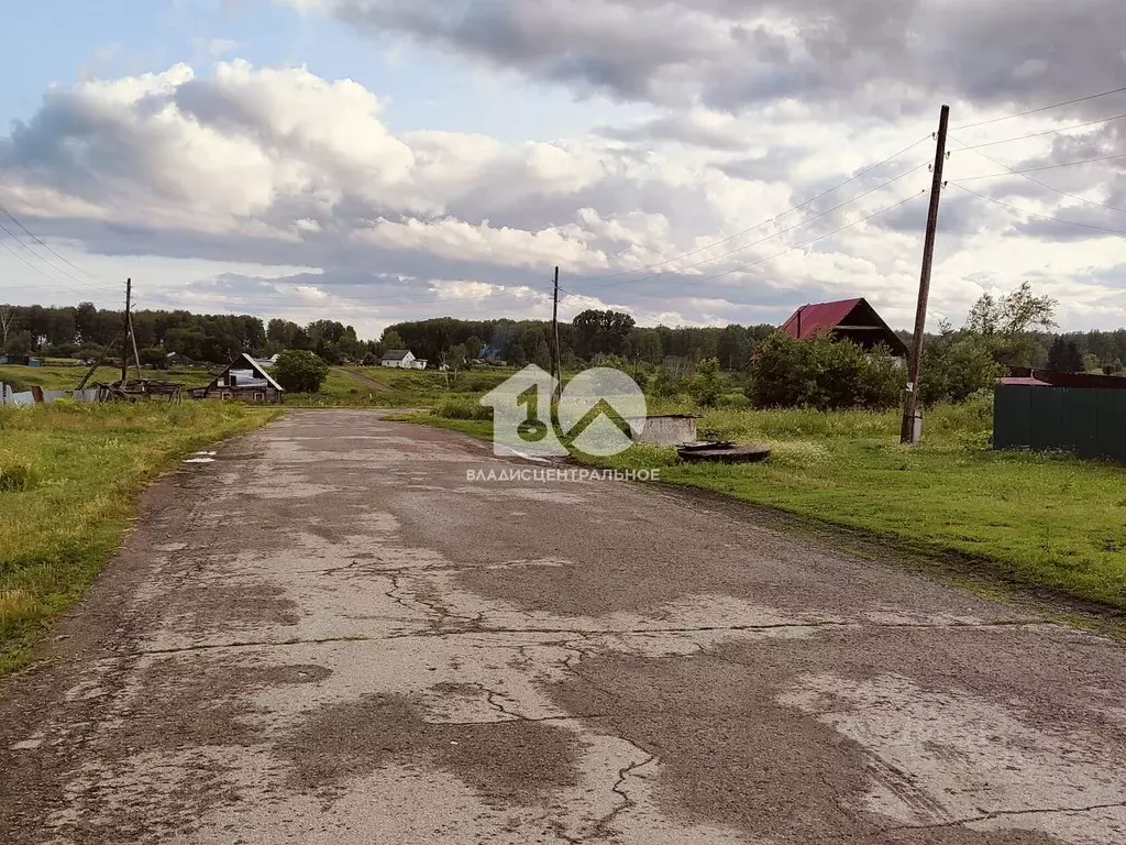 Участок в Новосибирская область, Новосибирский район, Барышевский ... - Фото 1
