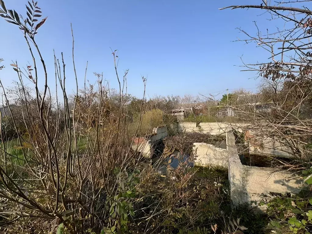 Участок в Краснодарский край, Геленджик городской округ, с. Марьина ... - Фото 2