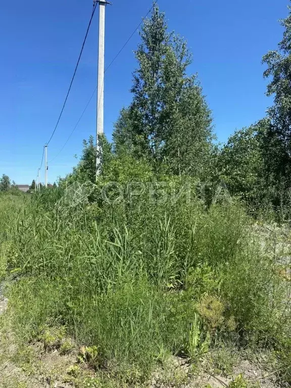 Участок в Тюменская область, Тюмень СОСН Изыскатель тер., ул. ... - Фото 1