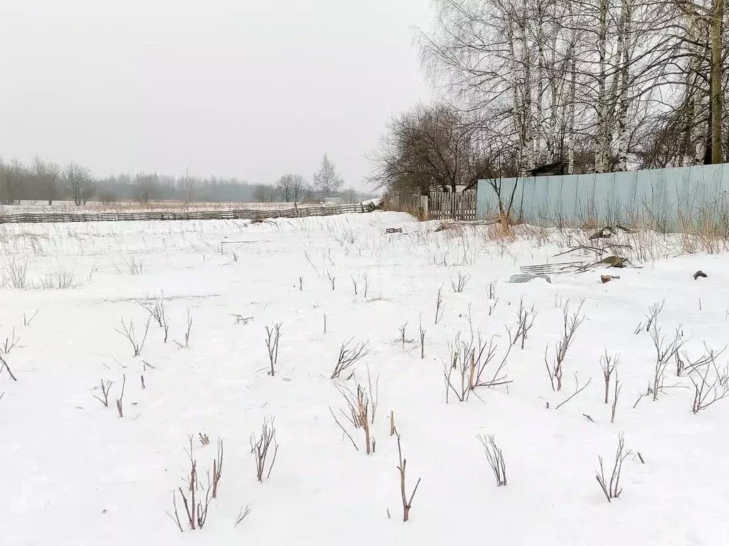 Участок в Ярославская область, Ярославский муниципальный округ, д. ... - Фото 0