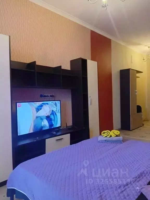 1-к кв. Московская область, Балашиха 1 Мая мкр, 4К1 (26.0 м) - Фото 2