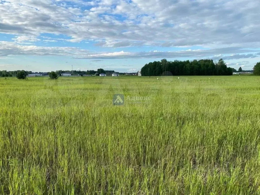 Участок в Тюменская область, Тюменский район, с. Каменка  (7.91 сот.) - Фото 0