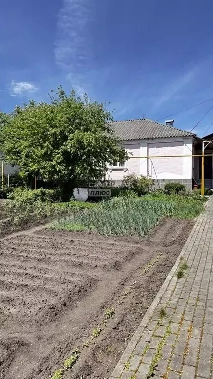 Дом в Воронежская область, Хохольский рп ул. Комарова, 8 (89 м) - Фото 2