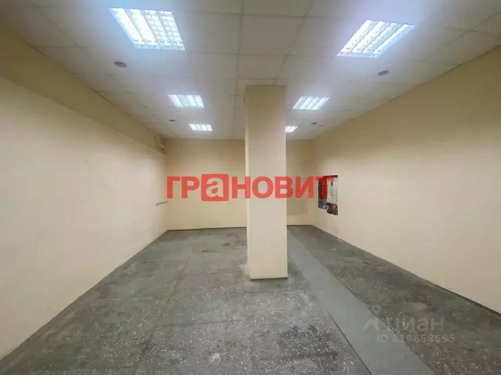 Помещение свободного назначения в Новосибирская область, Новосибирск ... - Фото 1