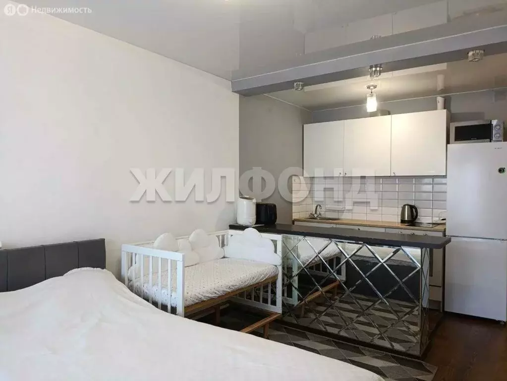 Квартира-студия: Новосибирск, Троллейная улица, 12 (28.8 м) - Фото 2