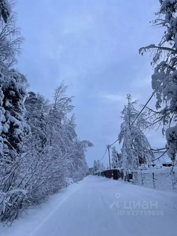 Участок в Ленинградская область, Тосненское городское поселение, Рубеж ... - Фото 2