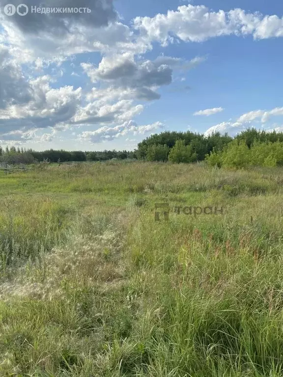 Участок в Челябинская область, Еткульский муниципальный округ, ... - Фото 1