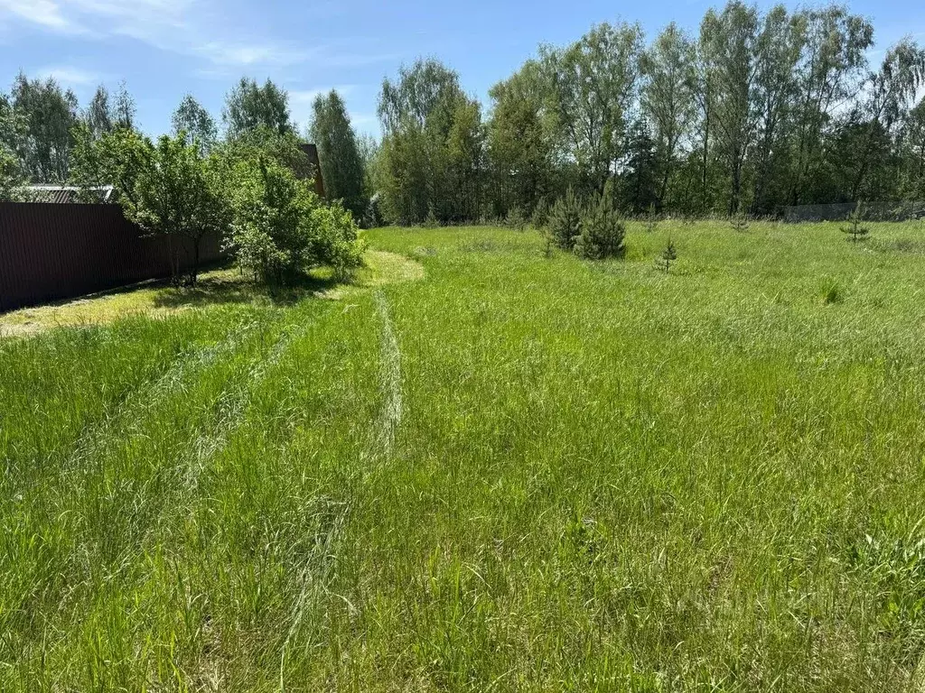 Участок в Московская область, Богородский городской округ, д. Стулово  ... - Фото 0