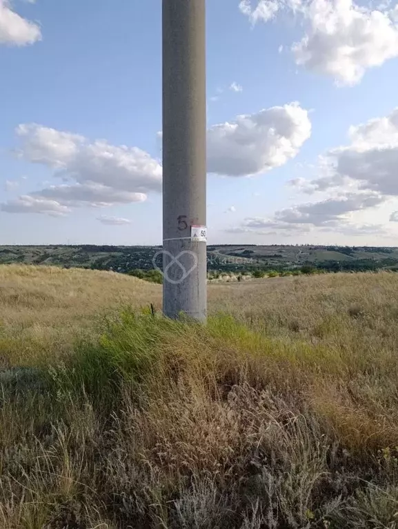 Участок в Волгоградская область, Городищенский район, Царицынское ... - Фото 1