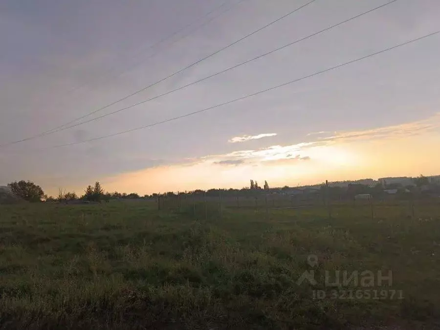 Участок в Воронежская область, Семилукский район, с. Девица ул. ... - Фото 1