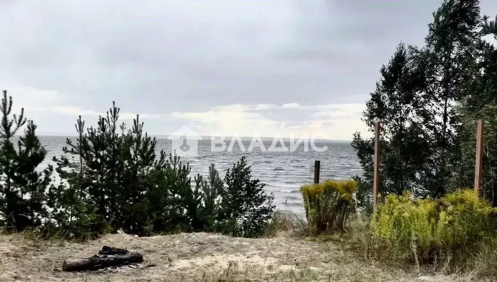Участок в Нижегородская область, Городецкий муниципальный округ, д. ... - Фото 1