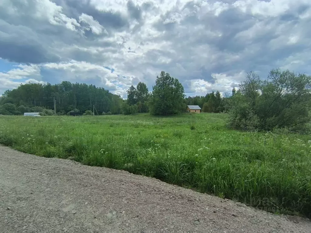 Участок в Ленинградская область, Приозерский район, Мельниковское ... - Фото 1