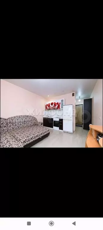 Квартира-студия, 24 м, 4/17 эт. - Фото 0