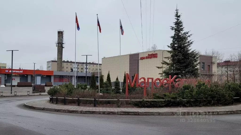 3-к кв. Ленинградская область, Ломоносовский район, Виллозское ... - Фото 1