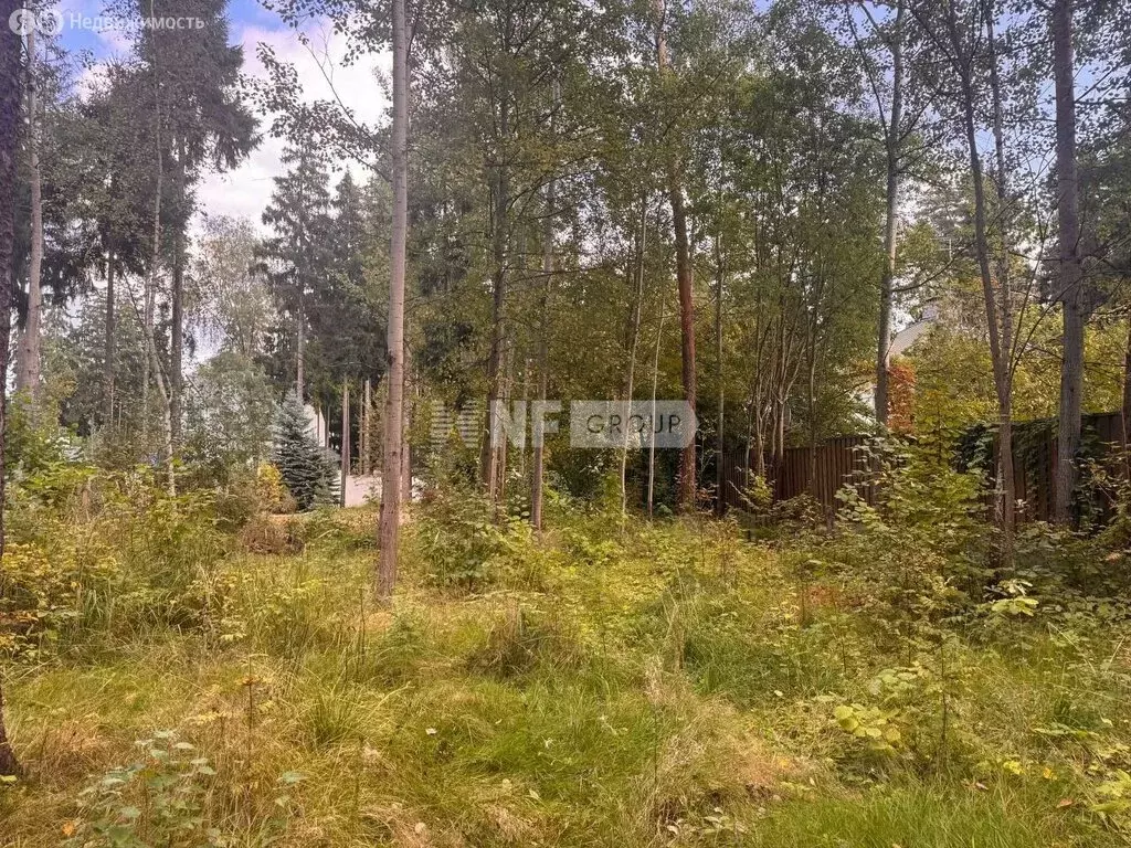 Участок в деревня Бородки, КП Грибово (14.3 м) - Фото 2