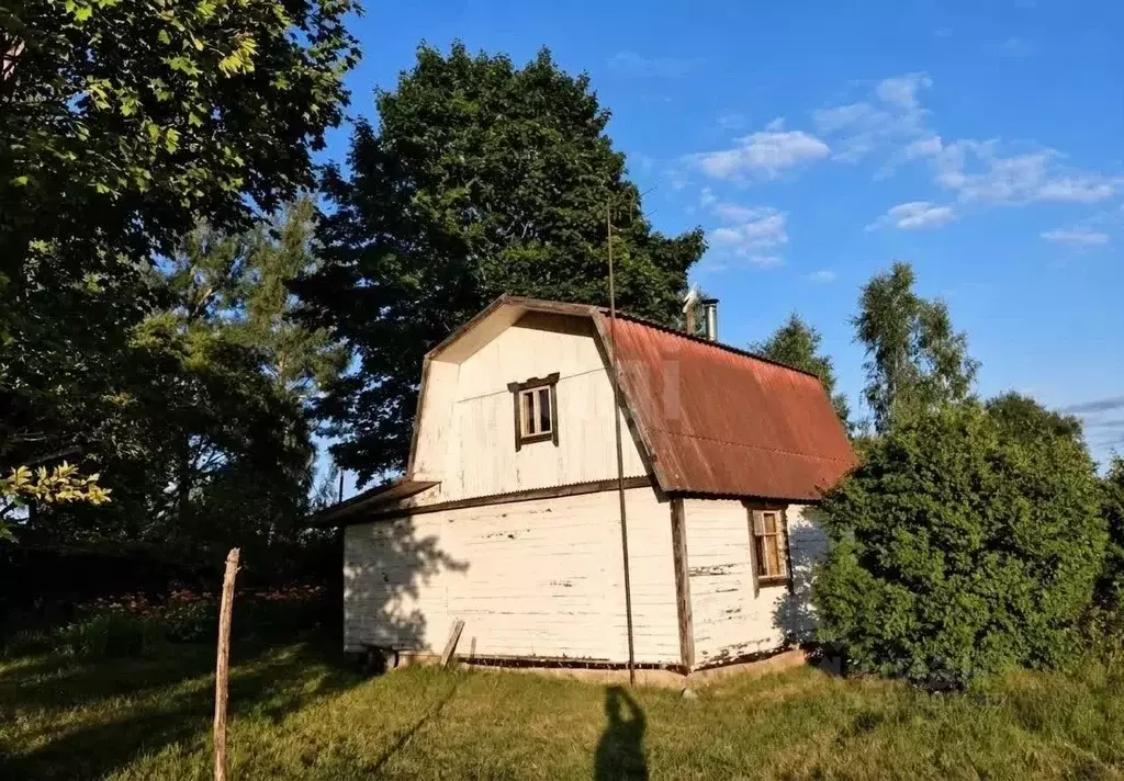 Дом в Псковская область, Островский муниципальный округ, д. Свеклино  ... - Фото 1