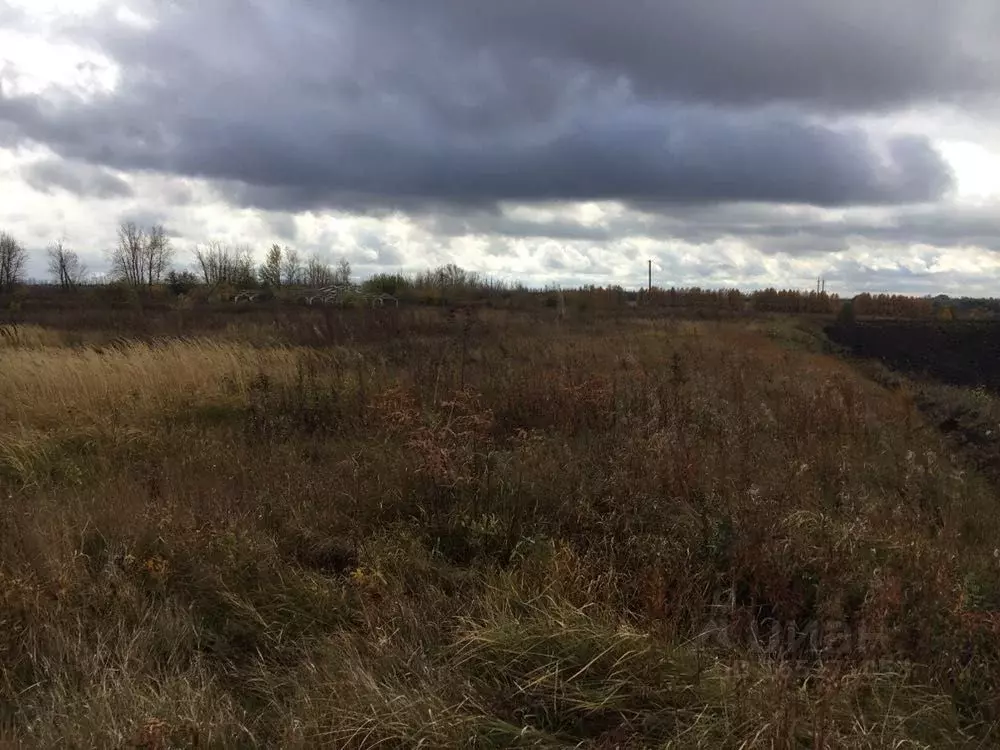 Участок в Орловская область, Ливенский район, с. Кунач  (11.0 сот.) - Фото 0