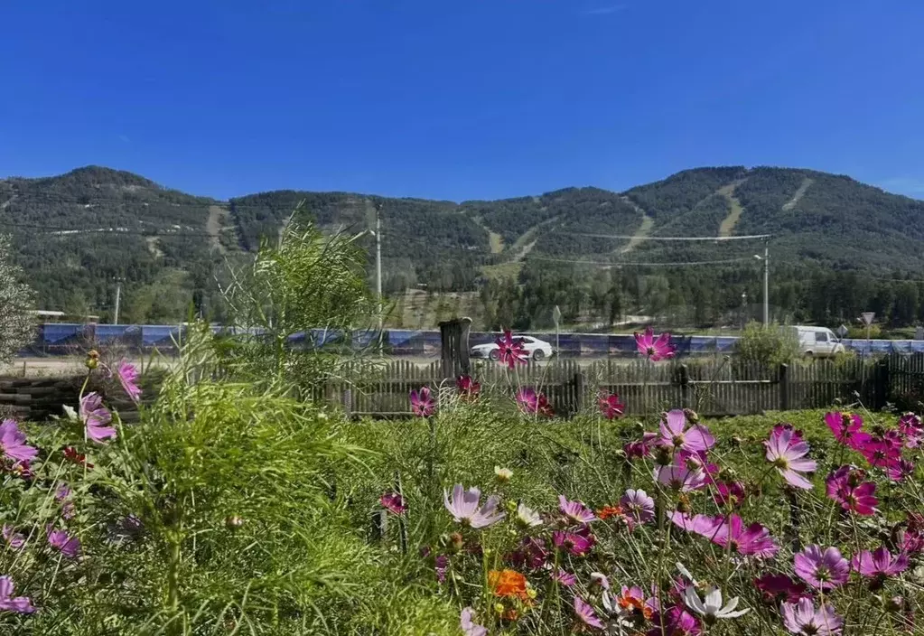 Участок в Алтай, Майминский район, Манжерокское с/пос, с. Озерное ул. ... - Фото 2