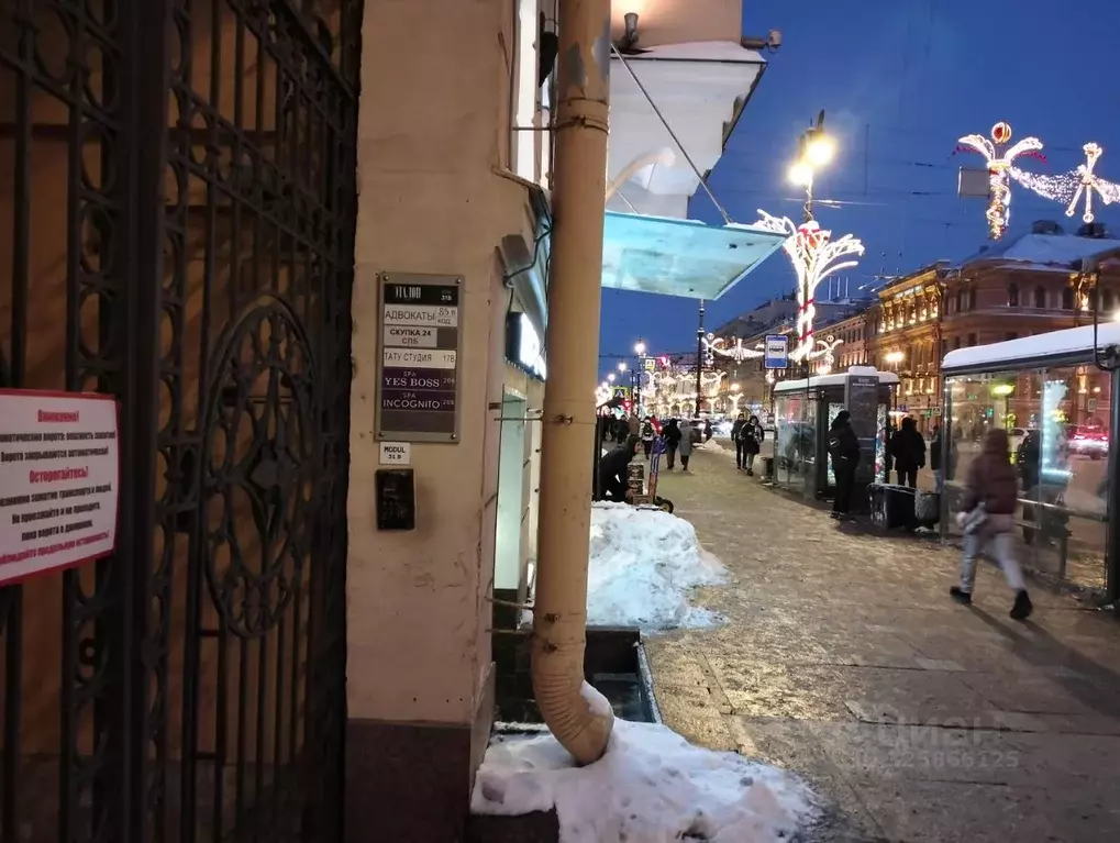 Помещение свободного назначения в Санкт-Петербург Невский просп., ... - Фото 2