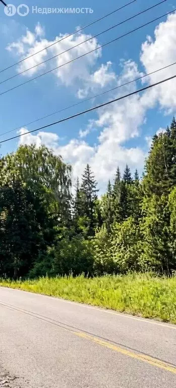 Участок в Красноярск (53 м) - Фото 2